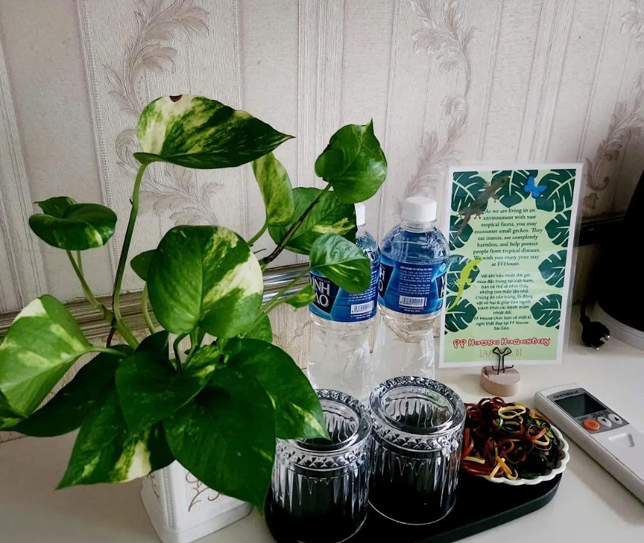 F F House Homestay Ho Chi Minh City Vietnam
